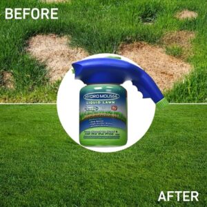 Hydro Mousse - Spruzzatore per Semi di Erba con Irrigazione Integrata