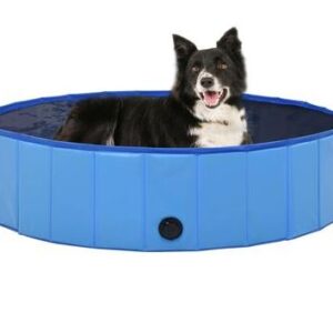 Piscina Portatile Blu per Cani Robusta Facile da Svuotare e Pulire 120 X 30