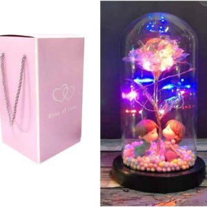 Rosa eterna a cloche con luci a LED per San Valentino con coperchio in vetro Con statuine dentro
