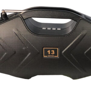 Speaker Wireless 13 series HiFi con radio fm slot TF tasti di comando USB