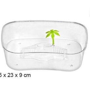 Tartarughiera In Plastica trasparente con Palma 32x23x9 cm