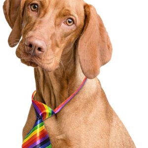 Cravatta Formale per animali domestici - con colletto regolabile