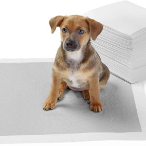 Tappetini igienici con carbone attivo per l'addestramento di cagnolini e altri animali domestici misura standard 10 pezzi