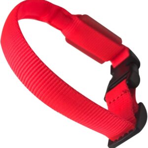 Collare Regolabile per animali domestici Con LED ricaricabili con USB Rosso