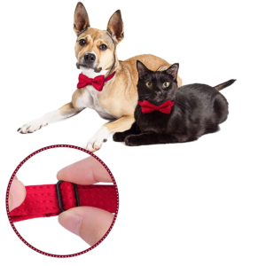 Papillon Formale per animali domestici - regolabile con colletto
